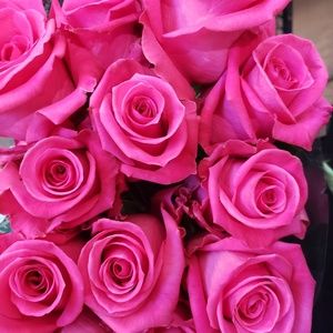 Meet your Posher, Reign